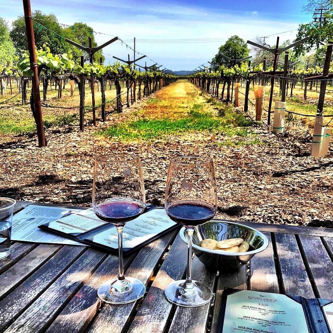 Saddleback Cellars Pinot Blanc Oakville Estate