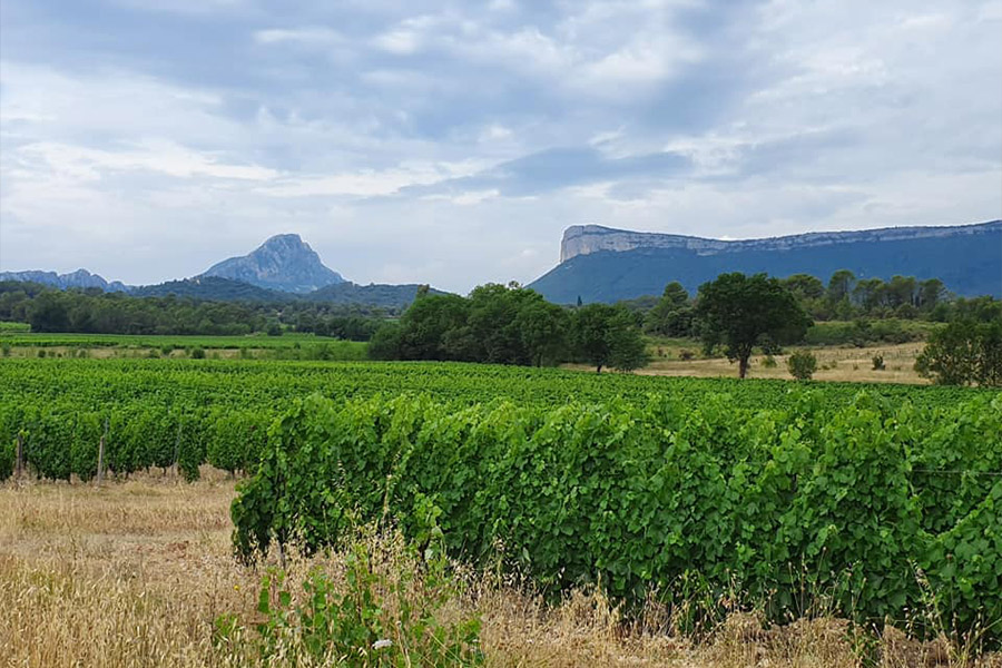 Maison Jean-Marc Boillot Montagny 1er Cru