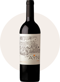 Chakana Ayni Paraje Altamira Malbec