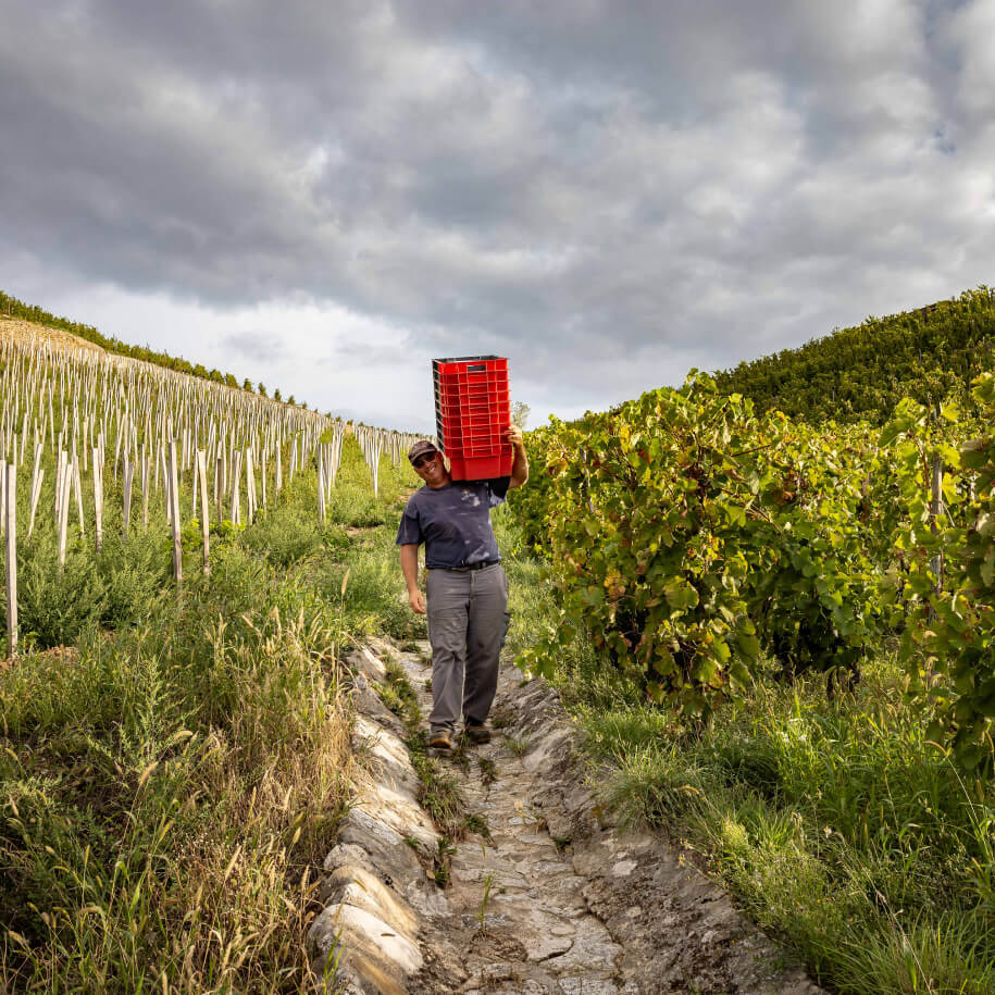 Paul Jaboulet Aîné La Chapelle Hermitage