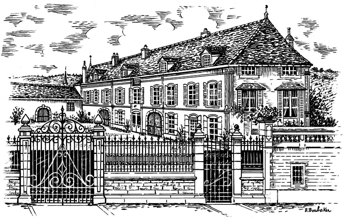 Capuano-Ferreri Vieilles Vignes Santenay