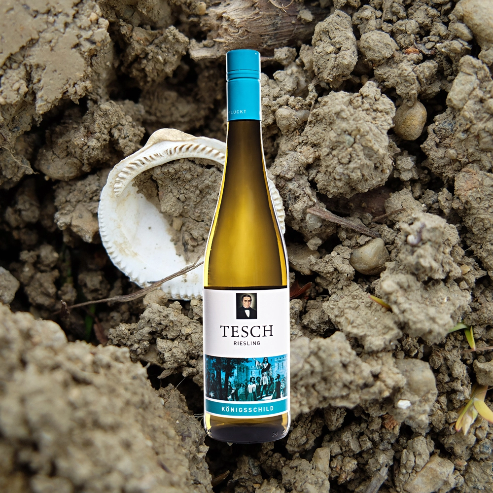 Tesch Königsschild Riesling Trocken