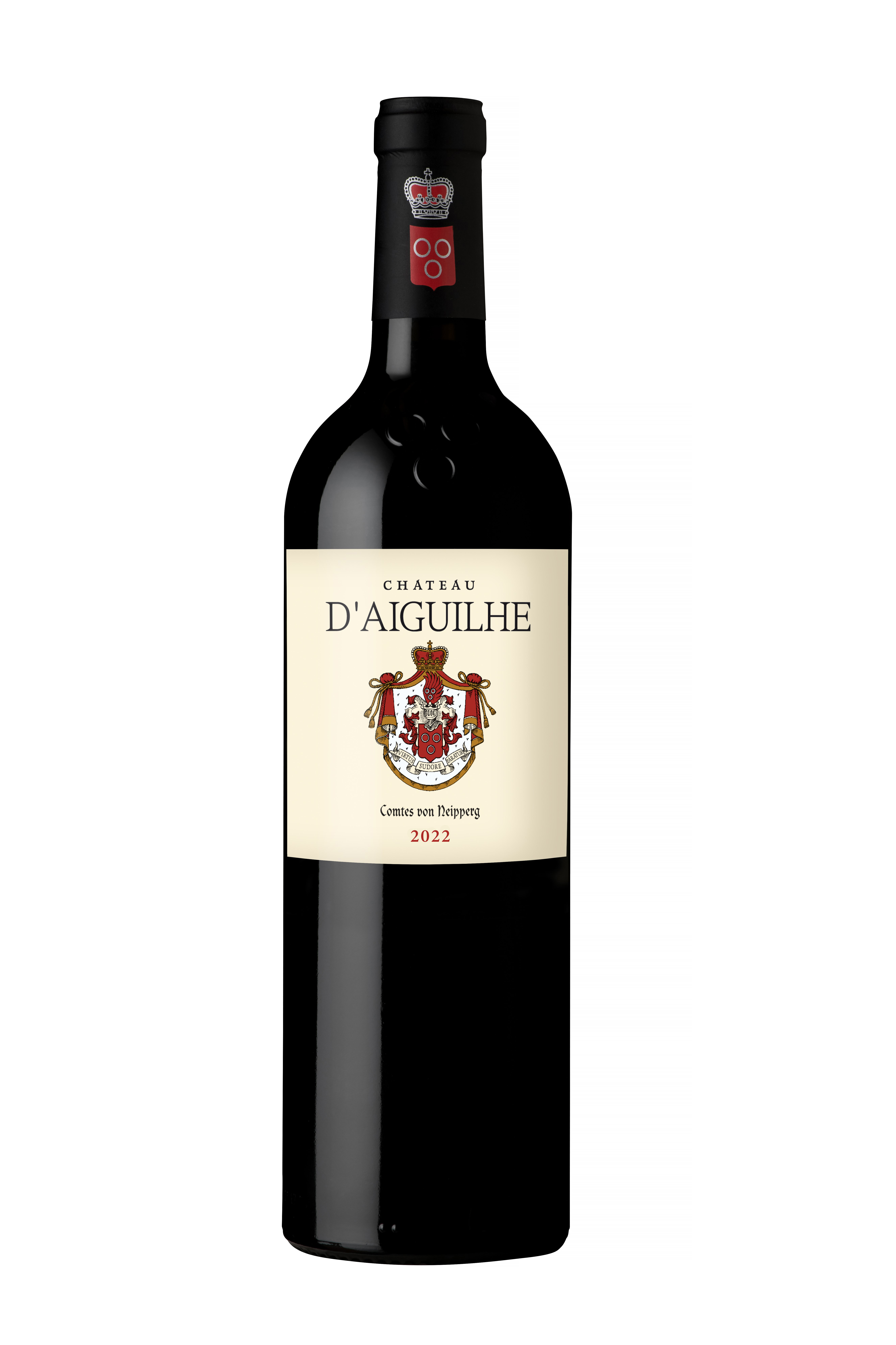 Château d'Aiguilhe