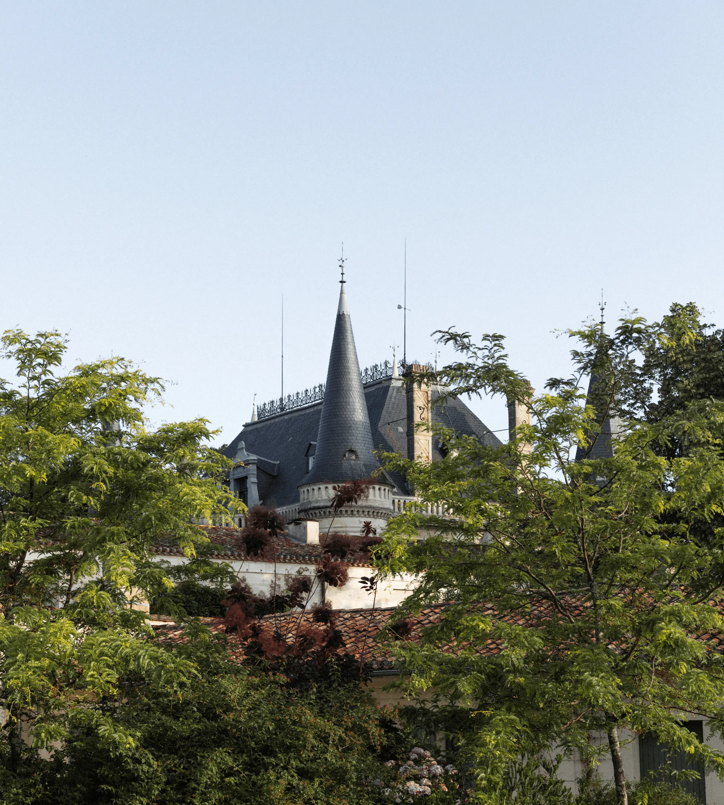 Château Palmer