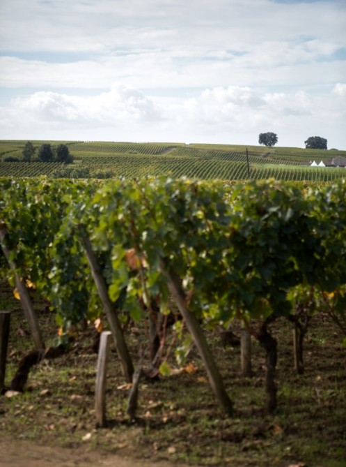 Château Trottevieille