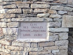 Domaine des Héritiers Clos des Ursules Monopole Beaune 1er Cru