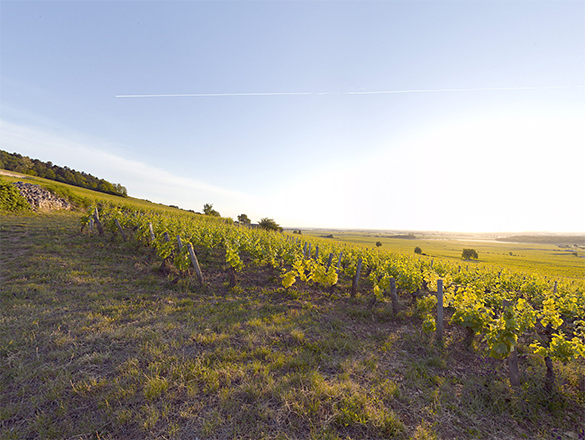 Domaine Gagey Clos Saint-Denis Grand Cru