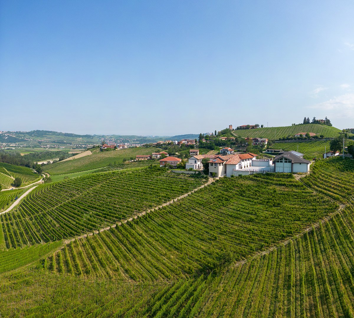 Roagna Pajè Vecchie Viti Barbaresco