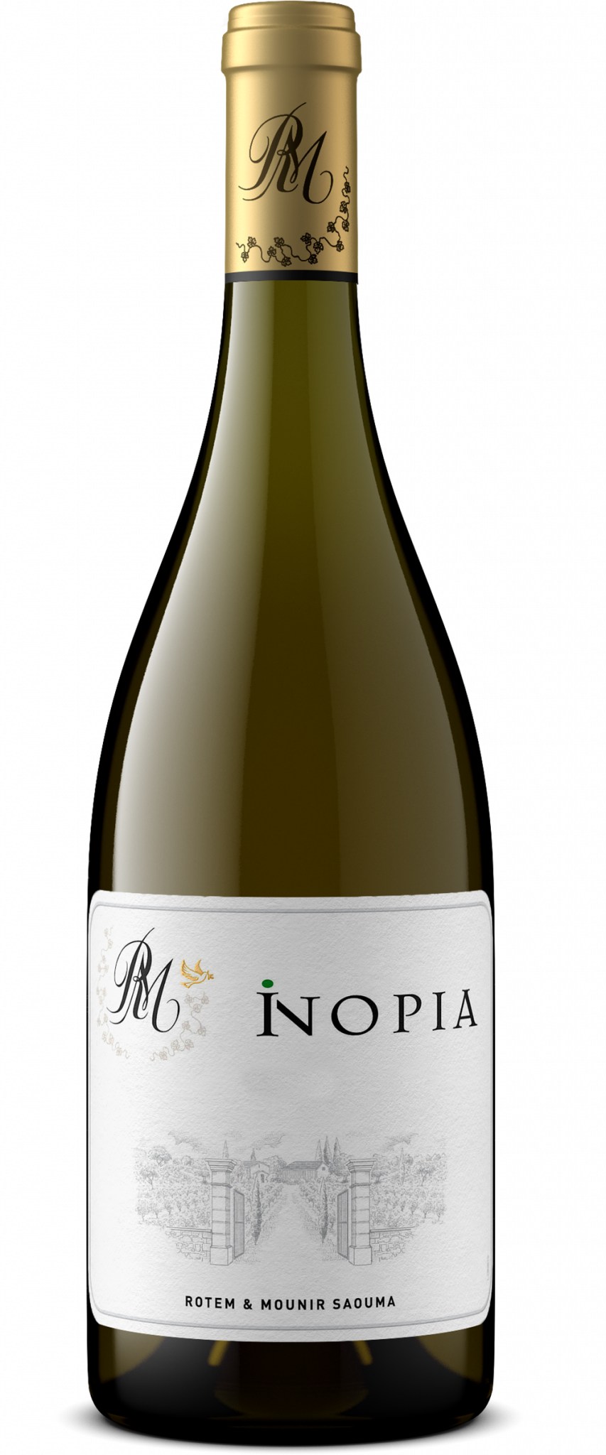 Rotem & Mounir Saouma Amphorae Collection
