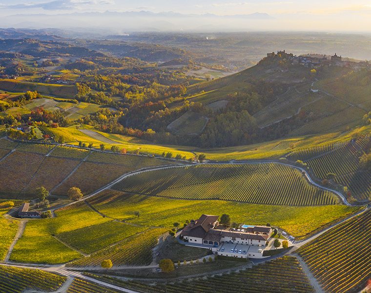 Elvio Cogno Montegrilli Langhe Nebbiolo DOC