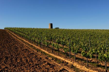 Château Montlandrie