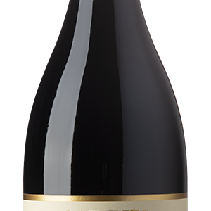 Garzon Estate Petit Clos Marselan