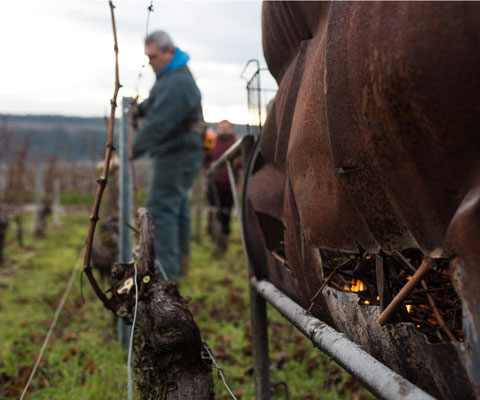 Domaine Confuron-Gindre Bourgogne Pinot Noir
