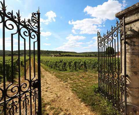 Remoissenet Clos de Tavannes Santenay 1er Cru Blanc