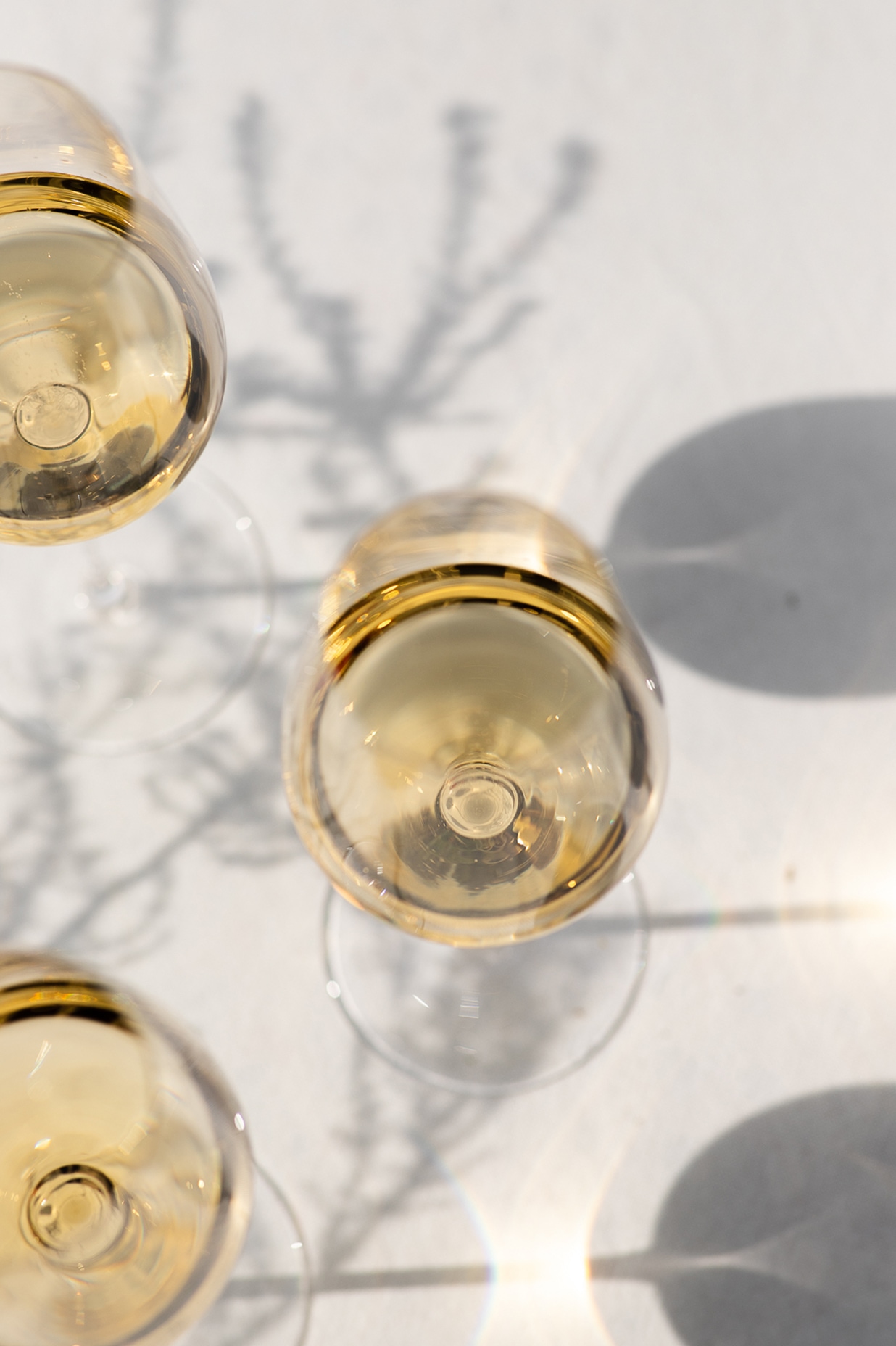 Stanislas Blanc De Blancs Theinot