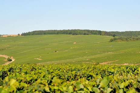 Charles Van Canneyt Montmain Chablis 1er Cru