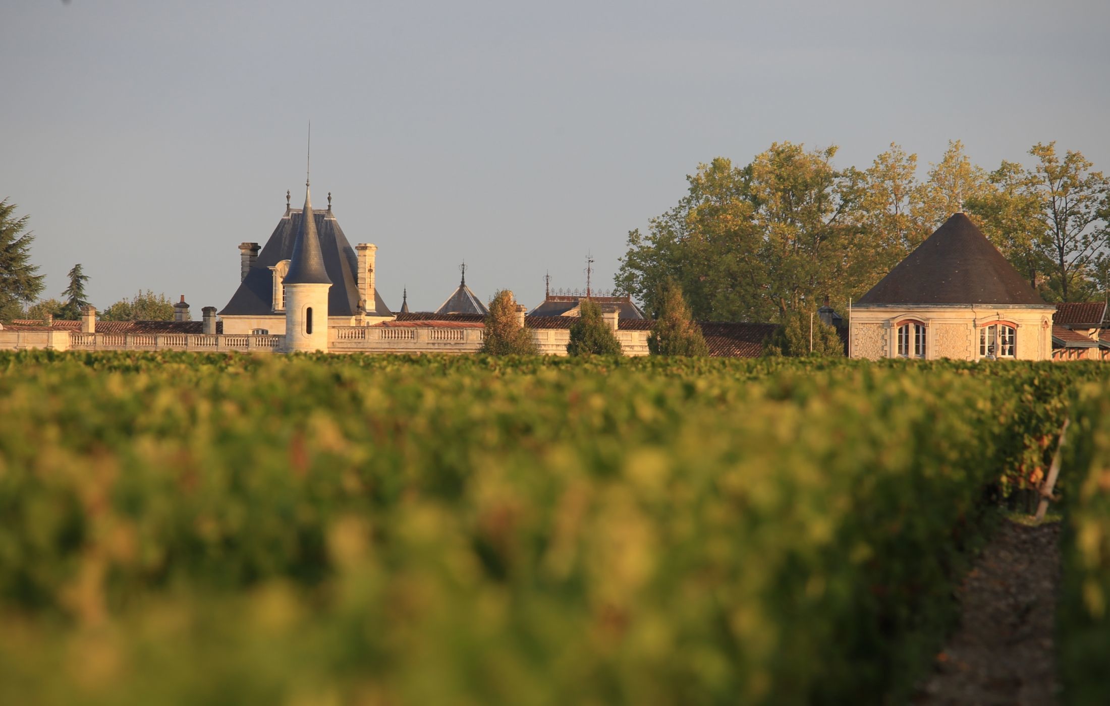 Chateau Durfort Vivens