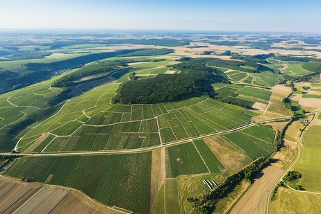 Le Moine Chablis 1er Mont De Milieu BlancSas