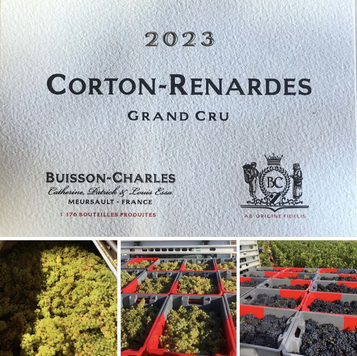 Buisson Charles Meursault Les Tessons