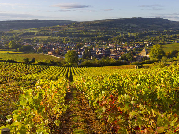 Santenay 1ercru Beaurepaire Rouge