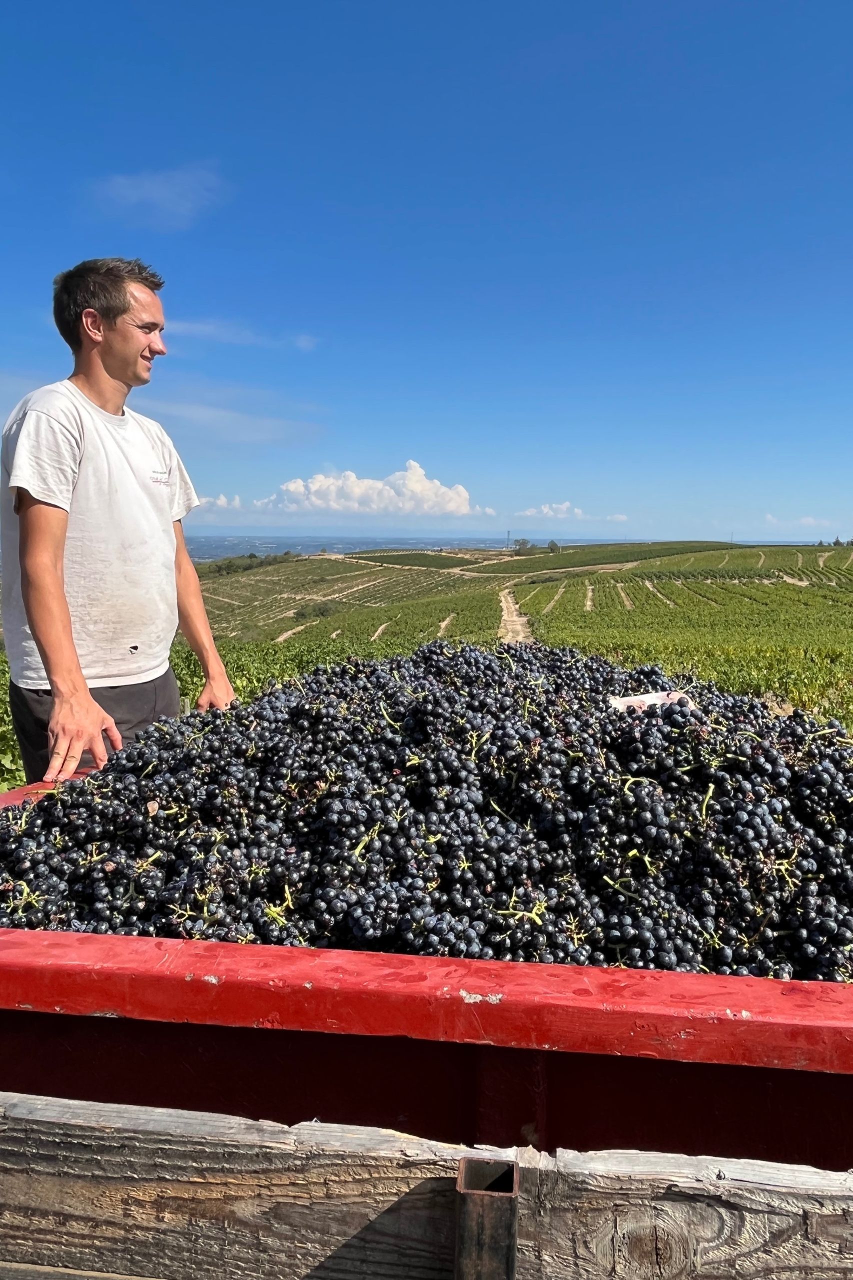 Domaine Melinon Regnie Chastys