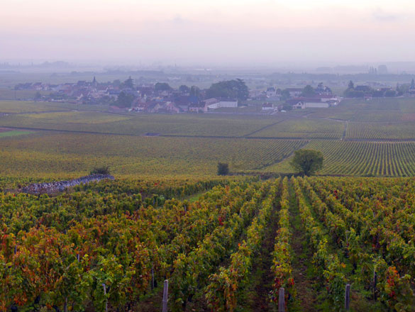 Vosne-Romanee Petits Monts