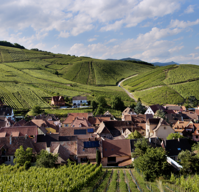 Zind Humbrecht Riesling Wineck Schlossberg