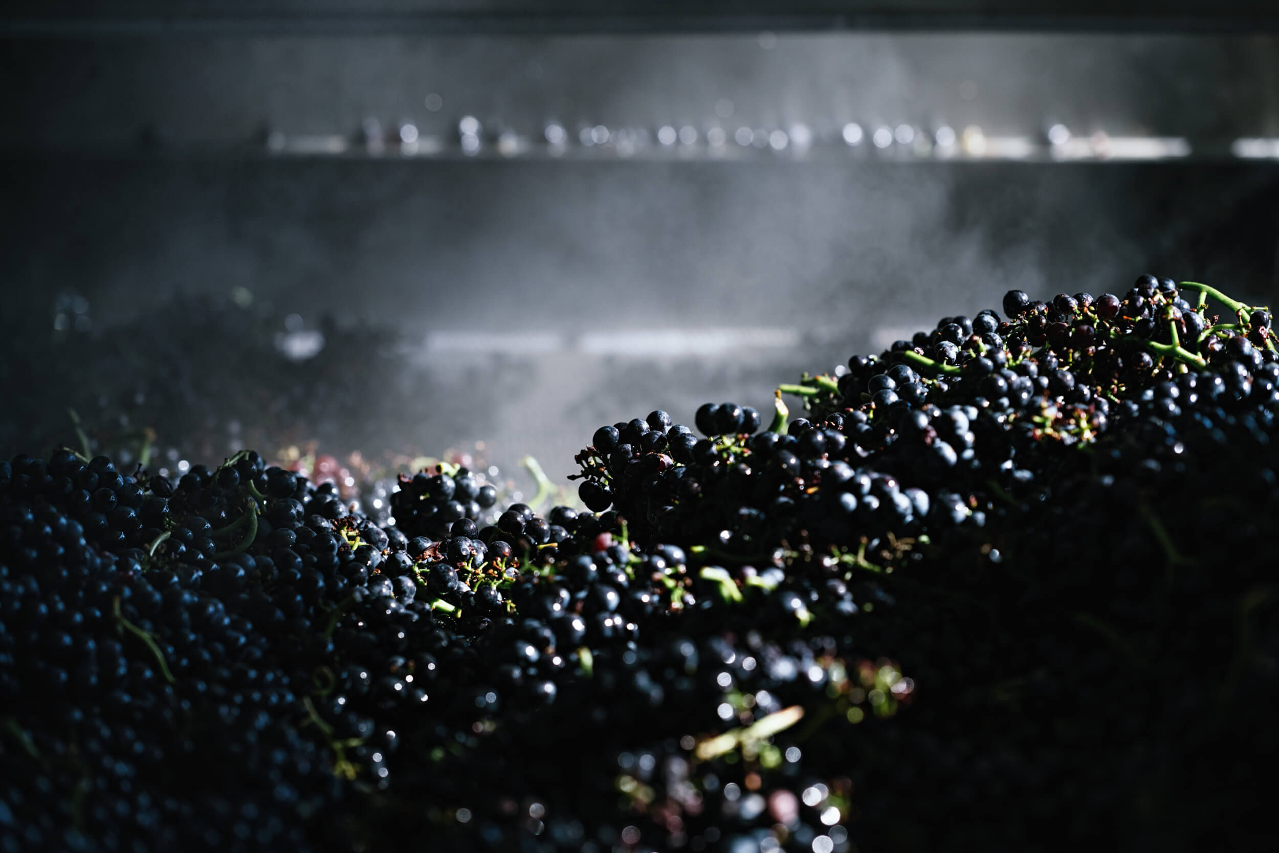 Chanson Clos Gauthey Monthélie 1er Cru