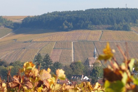 Chablis Grand Cru Les Clos