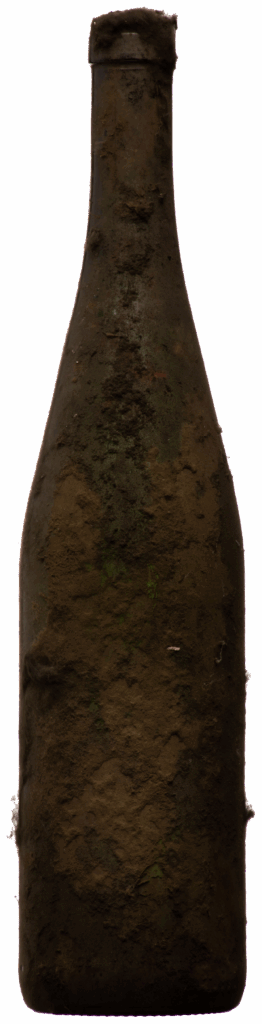 Hiedler Maximum Alt Reben Grüner Veltliner