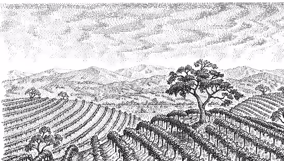 J. Lohr Bay Mist Riesling