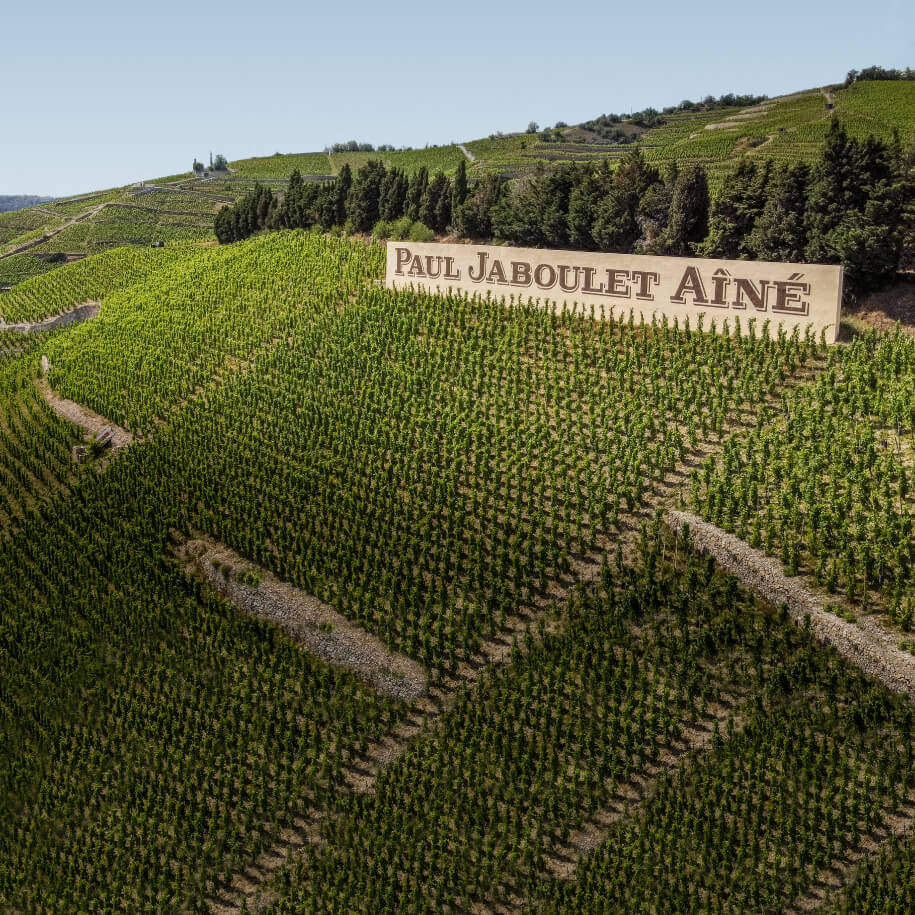 Paul Jaboulet Aîné Mule Blanche Crozes-Hermitage Blanc